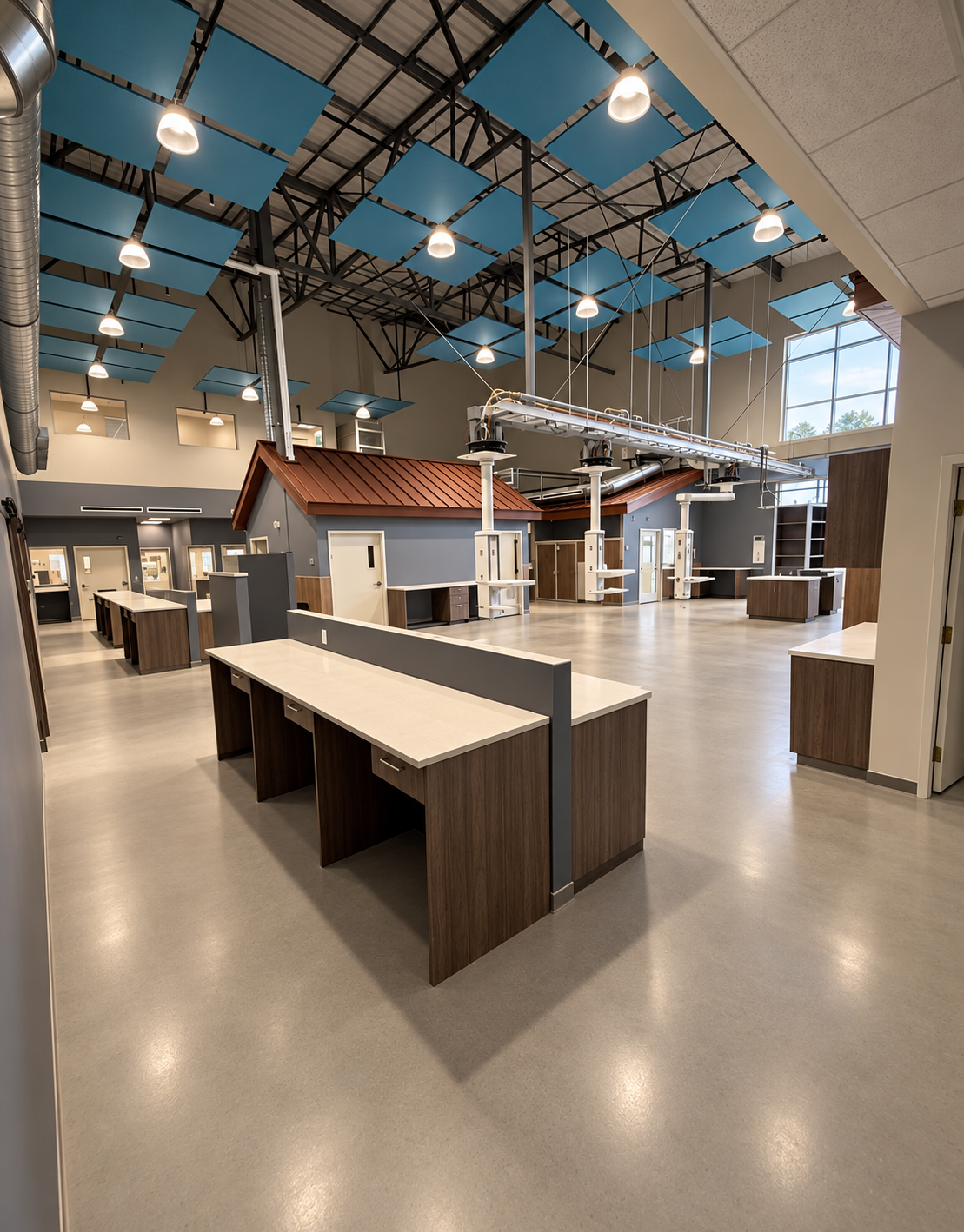 Completed animal hospital treatment area showcasing suspended ceiling lighting
